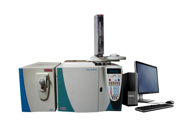 DSQ II